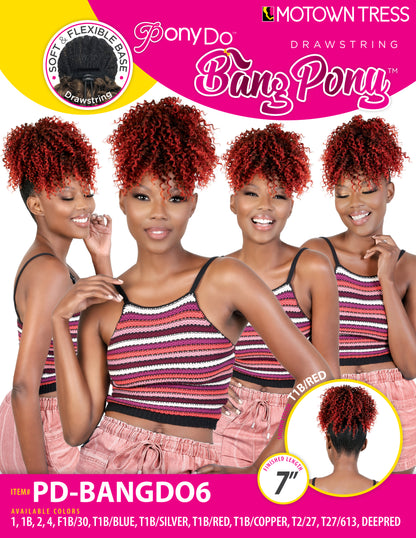 PD-BANGDO6