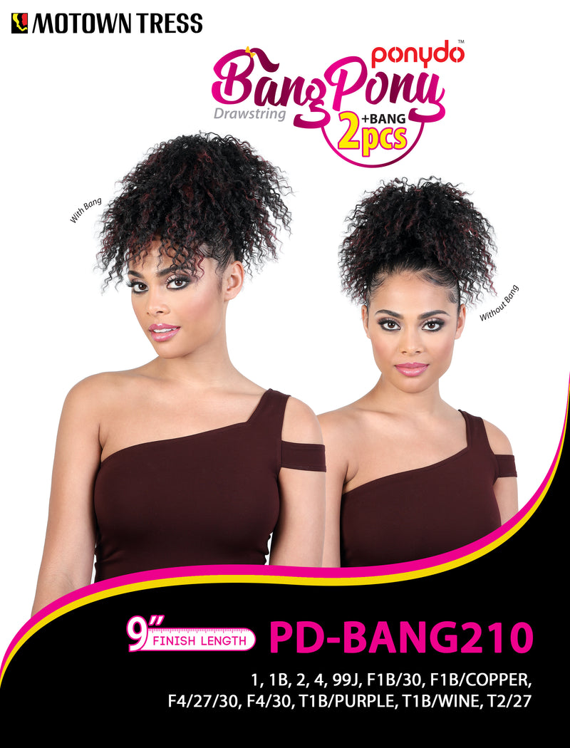 PD-BANG210