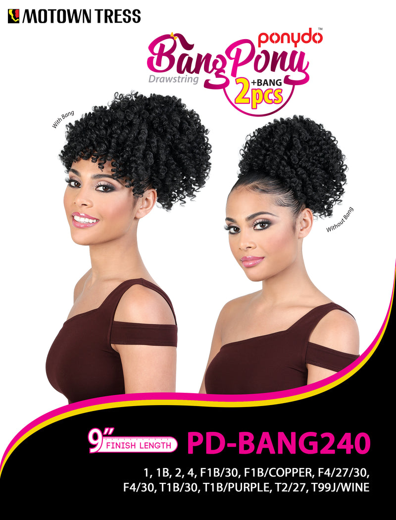 PD-BANG240