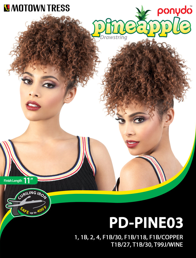 PD-PINE03